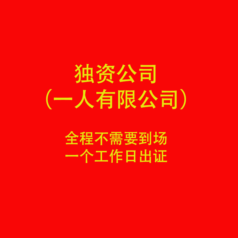 一人有限公司